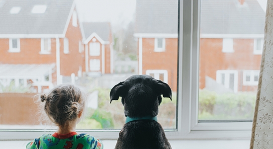 Baby And Dog Looking Outside